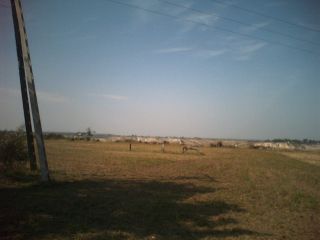 Widok z okolic Koźmina